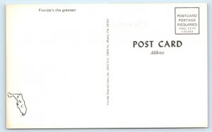 Greetings from Clermont FLORIDA Postcard