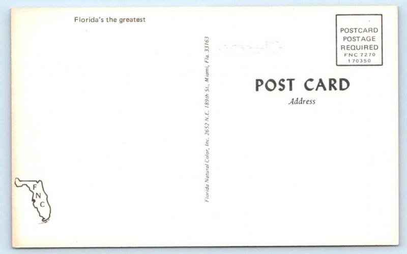Greetings from Clermont FLORIDA Postcard
