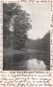 SPRINGFIELD MASSACHUSETTS~LAKE IN FOREST PARK UDB POSTCARD 1904