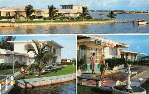 ST PETERSBURG, FL Florida  BLUENOSE APARTMENT MOTEL Boca-Ciega Bay DOCK Postcard