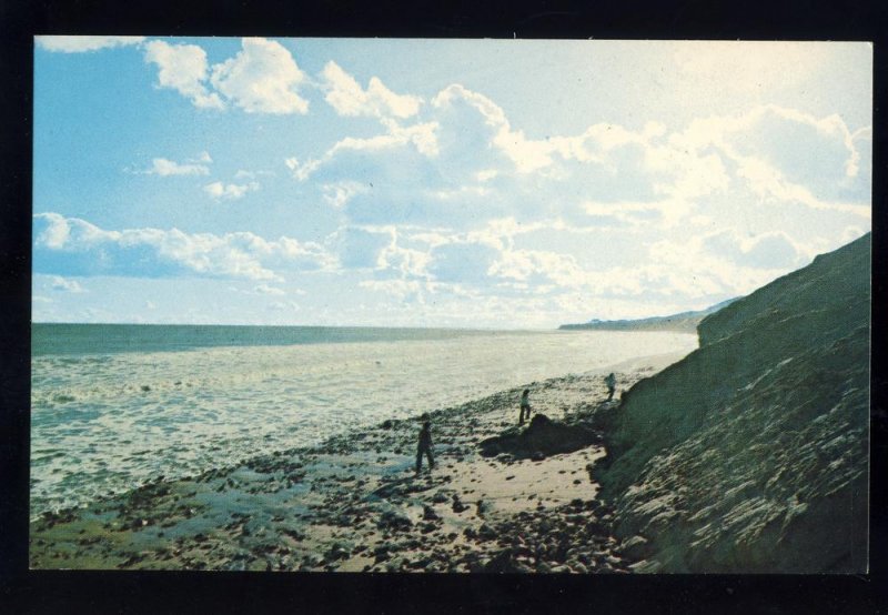 Martha's Vineyard, Massachusetts/MA Postcard, Rocky Beach Scene/Cape Cod