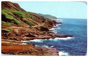 Shoreline Drive Oahu Hawaii Postcard