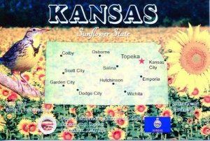 KANSAS Map Postcard - The Sunflower State -  State Symbols