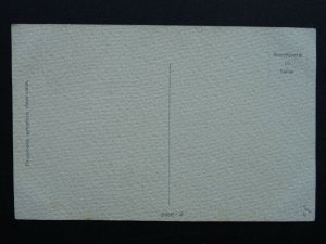 Fruit Berries & Nuts Study BLACK & WHITE GRAPES c1910 Italian Postcard