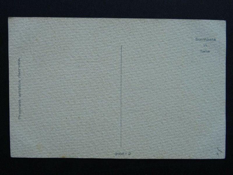 Fruit Berries & Nuts Study BLACK & WHITE GRAPES c1910 Italian Postcard