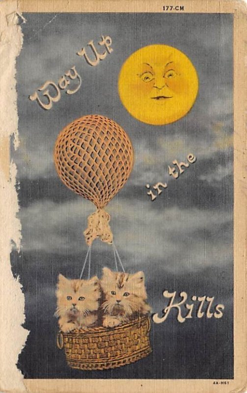 Way Up in the Catskills Cats Unused paper tear on front