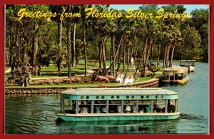 Florida, Silver Springs - Greetings - Glass Bottom Boat - [FL-1106]