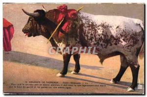 Postcard Old Bulls Bullfight Race Before & # 39estocade