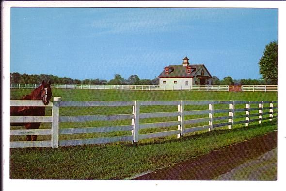 Blue Grass Horse Farm, Lexington, Kentucky,  Photo Brock