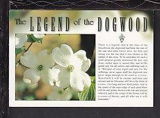 Legend of the Dogwood Postcard BIN 