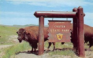 Custer State Park Home of the Buffalo Misc SD