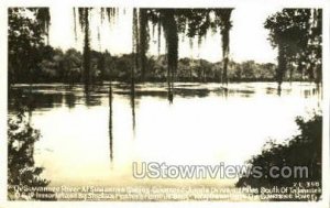Suwannee River - Tallahassee, Florida FL