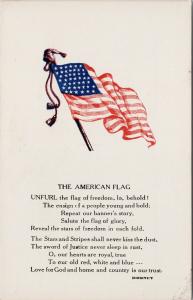 The American Flag USA Patriotic UNUSED Bierney Quote Postcard D93