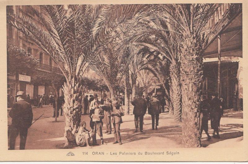 B80455 oran algeria les palmiers du boulevard seguin   front/back image