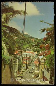 Street Scene - St. Thomas