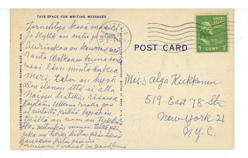 FL - Miami. Banyan Tree in Coconut Grove