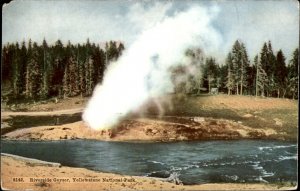 Yellowstone Nat Park Wyoiming Riverside Geyser c1900-20s Vintage Postcard