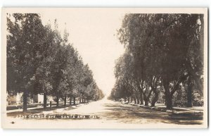 RPPC Orange Avenue SANTA ANA, CA Orange County 1910 Vintage Photo Postcard
