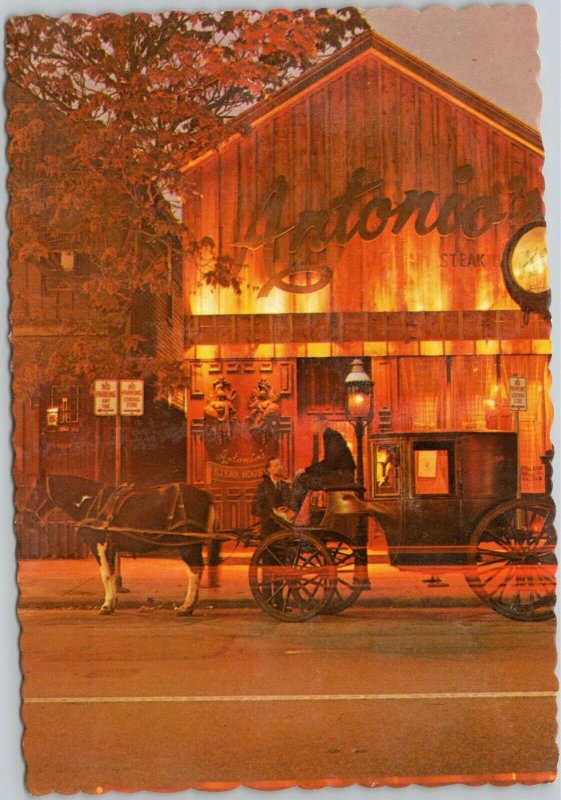 Antonio's Steak House in Chicago's Old Town horse and carriage Illinois postcard