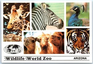 Postcard - Wildlife World Zoo - Litchfield Park, Arizona