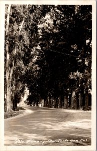 Real Photo Postcard State Highway near Santa Ana, California