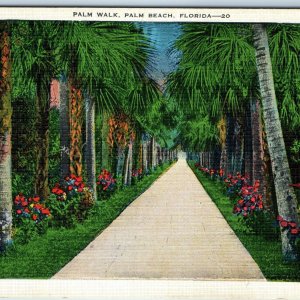 c1920s Palm Beach FL Walkway Walk Tree Path Trail Flowers Early Linen Kropp A220