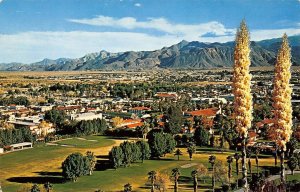 PALM SPRINGS, CA California O'Donnell Golf Course Chrome 1981 Vintage Postcard