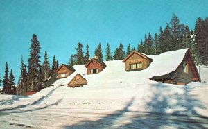 Vintage Postcard Hike Monarch Crest Trail on Monarch Pass Winter Snow Colorado