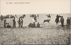 Branding Stock Alberta Cattle Cowboys Ranchers Unused Thompson Postcard F40