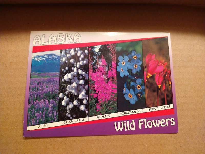 1990's Alaska Wildflowers Floral Beauty Continental Chrome Postcard