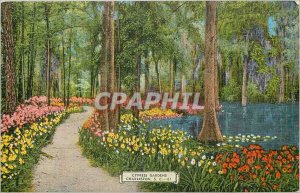 Postcard Old Cypress Gardens Charleston SC