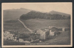 Northumberland Postcard - North Gateway, Borcovicium     RS12875