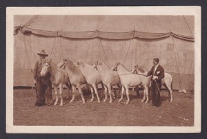 Vintage postcard Germany Circus Maxim II Willy Hagenbeck Horses