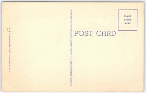 Vintage Adirondack Mountains N.Y. Postcard with Deer by Curt Teich