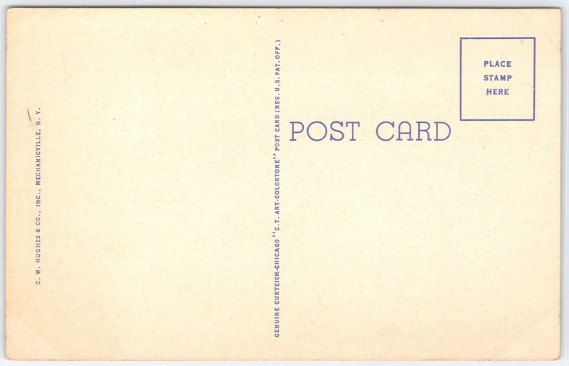 Vintage Adirondack Mountains N.Y. Postcard with Deer by Curt Teich