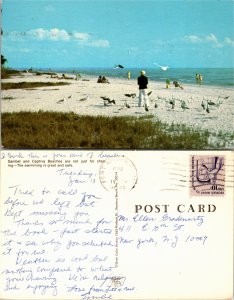 Sanibel and Capitva Beach, Fort Meyers, Florida (25236