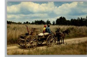 Postcard..Going Home..Southern Mule/Donkey Cart