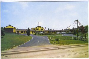 Foxboro MA Gaard Motel Old Cars Postcard