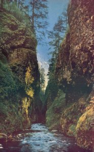 Vintage Postcard Oneonta Falls Waterfalls Gorge Columbia River Highway Oregon OR