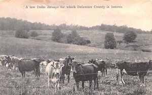 Few Delhi Jerseys in Delhi, New York