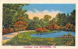 Montrose Pennsylvania Greetings Scenic View Vintage Postcard JE359565 