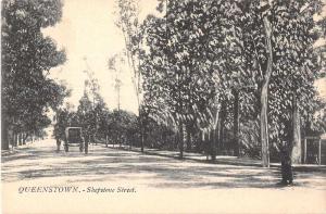 Queenstown South Africa Shepstone Street Antique Postcard J50183