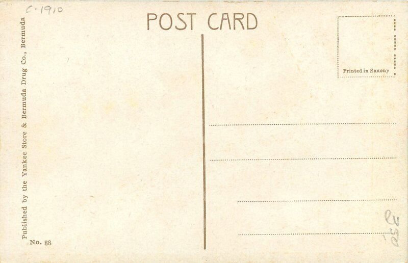 Bermuda Devil's Hole Postcard Yankee Store #88 -8850