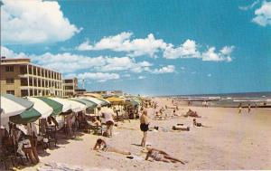 Ocean City  MD Maryland Beach scene  Postcard