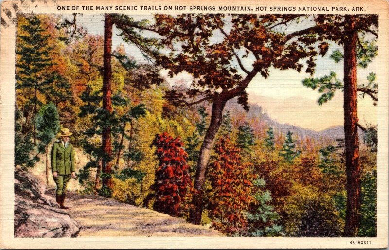 Scenic Trail Hot Springs Mountain National Park Arkansas AR Linen Postcard PM 