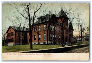 1907 High School Monticello Exterior Building Sullivan Co. New York  NY Postcard