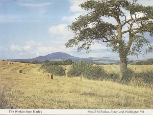 The Wreckin Harley Shropshire in Autumn Rare Postcard