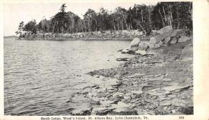 Lake Champlain Vermont Woods Island South Ledge Antique Postcard K83253