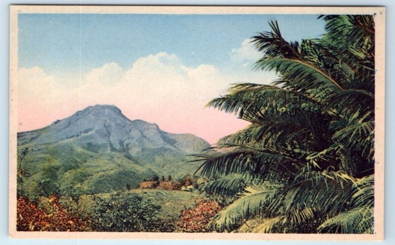 Saint-Pierre Le Mont Pele vu des Proprietes Saint James MARTINIQE Postcard