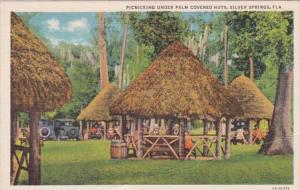 Florida Silver Springs Picnicking Under Palm Covered Huts Curteich